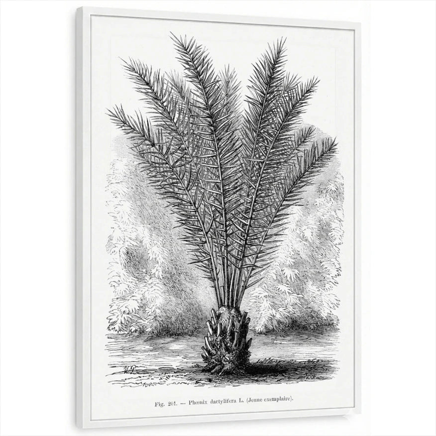 framed-print-white-standard