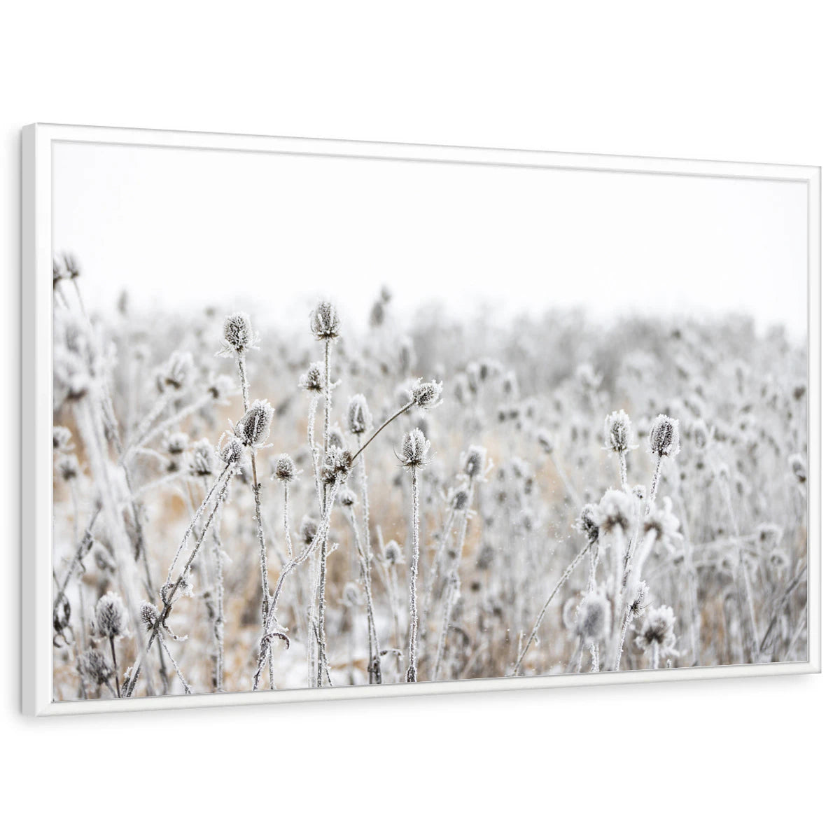 framed-print-white-standard