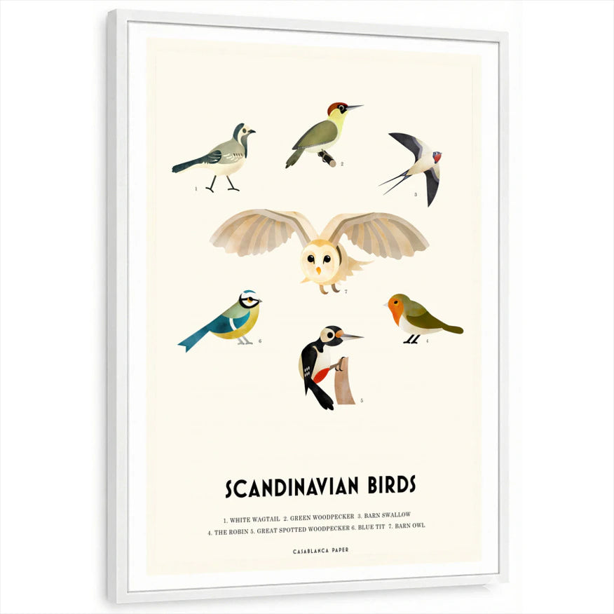 framed-print-white-standard