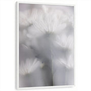 framed-print-white-standard