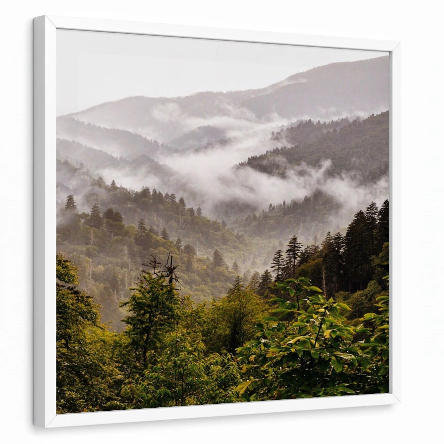 framed-print-white-standard