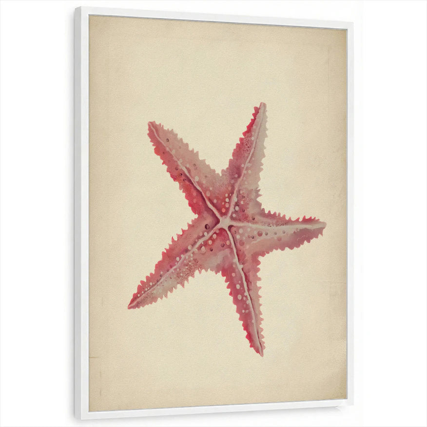 framed-print-white-standard