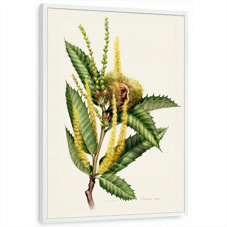 framed-print-white-standard