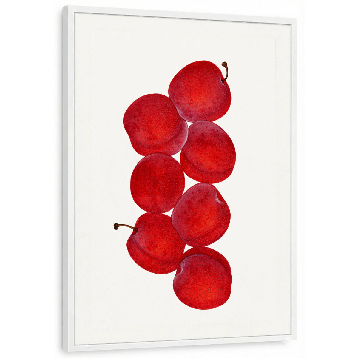 framed-print-white-standard
