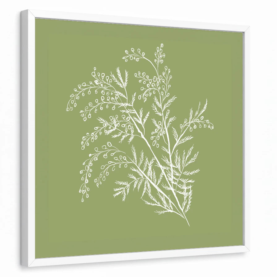framed-print-white-standard