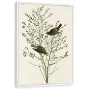 framed-print-white-standard