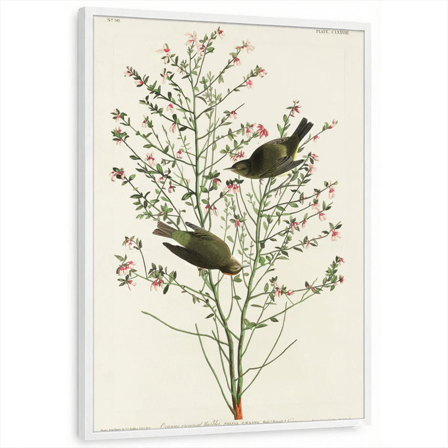 framed-print-white-standard