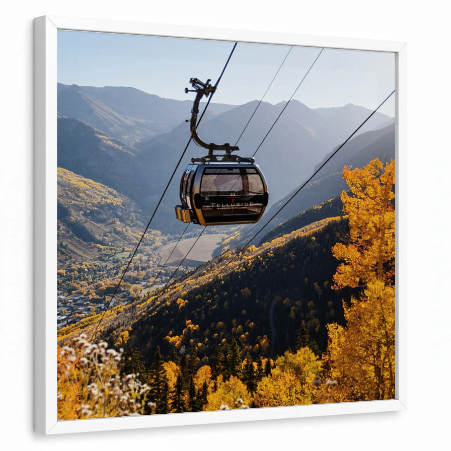 framed-print-white-standard