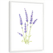 framed-print-white-standard