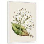 framed-print-white-standard