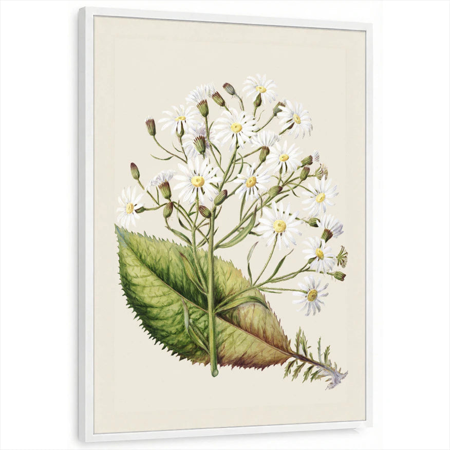 framed-print-white-standard