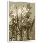 framed-print-white-standard
