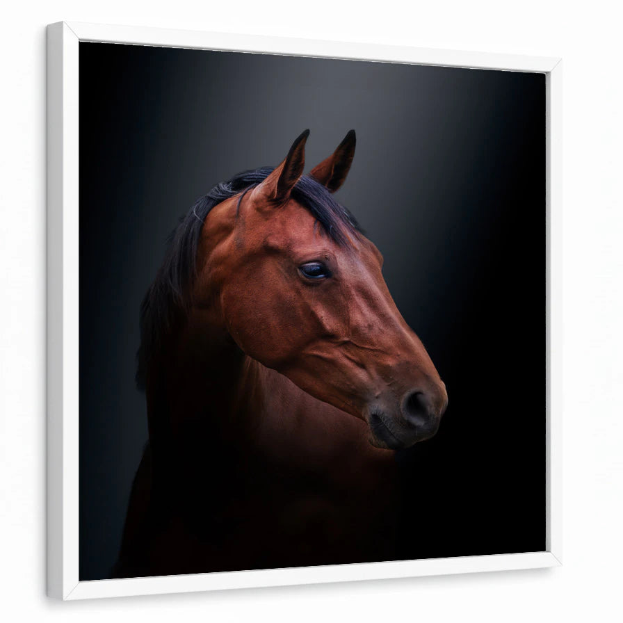 framed-print-white-standard