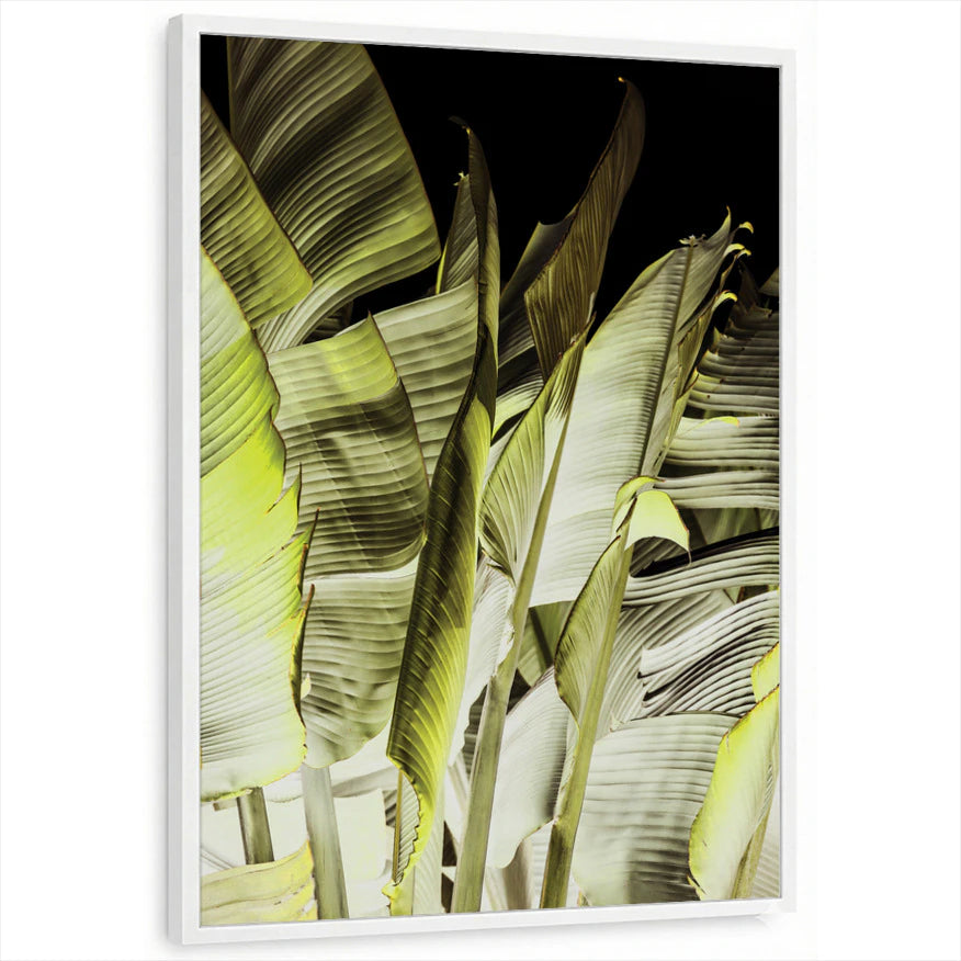 framed-print-white-standard