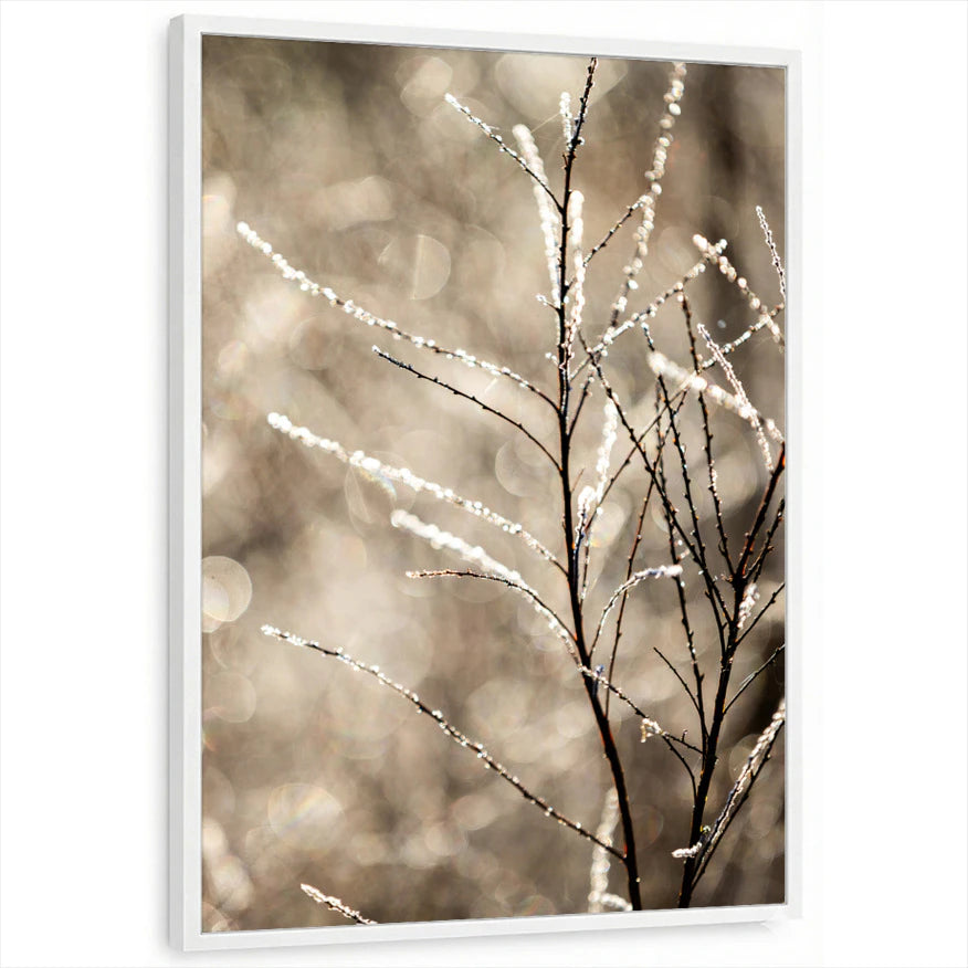 framed-print-white-standard