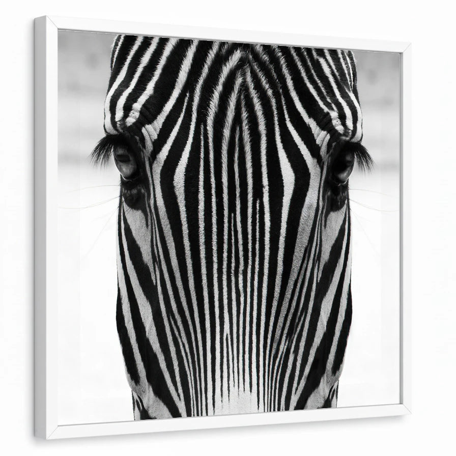 framed-print-white-standard