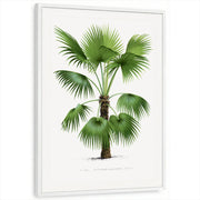framed-print-white-standard