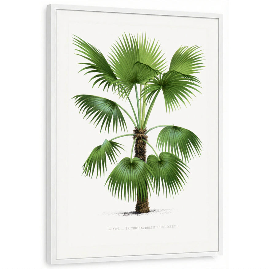 framed-print-white-standard