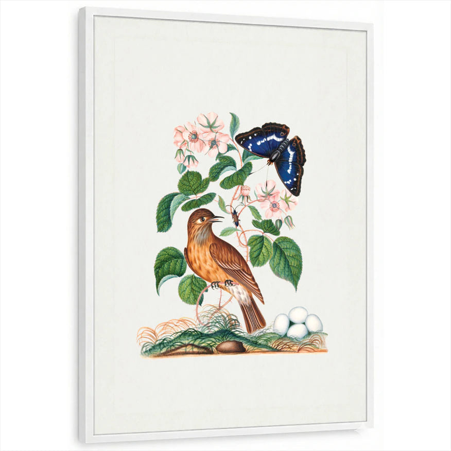 framed-print-white-standard