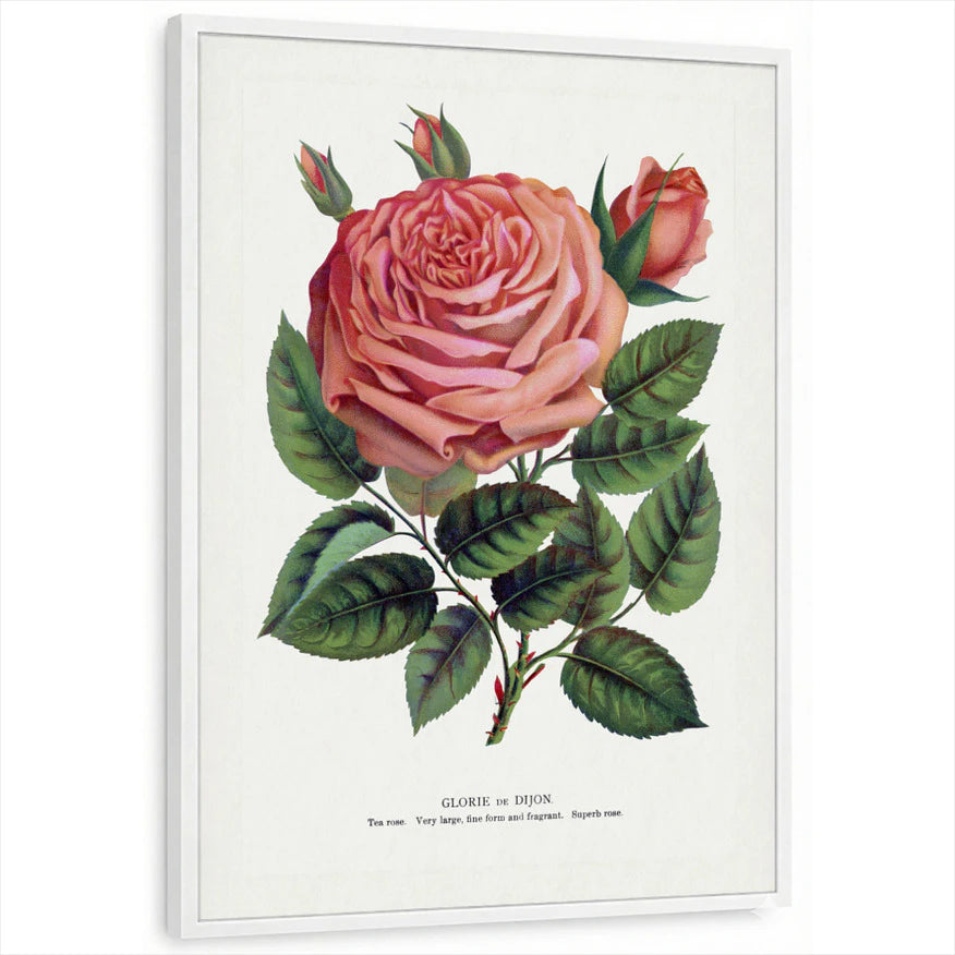 framed-print-white-standard
