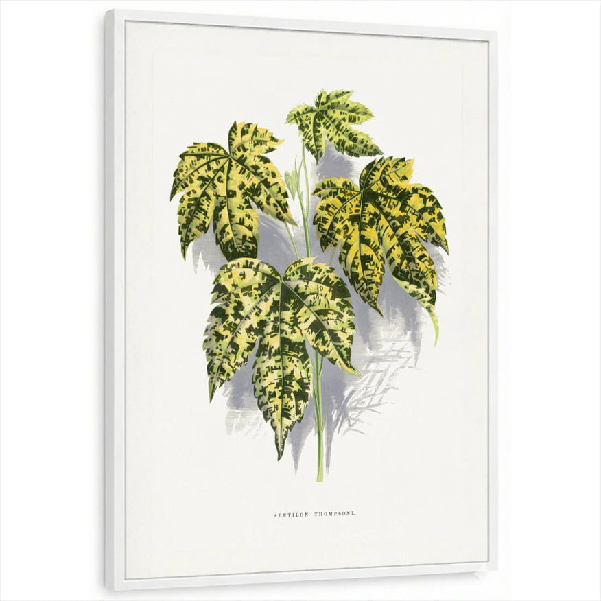 framed-print-white-standard