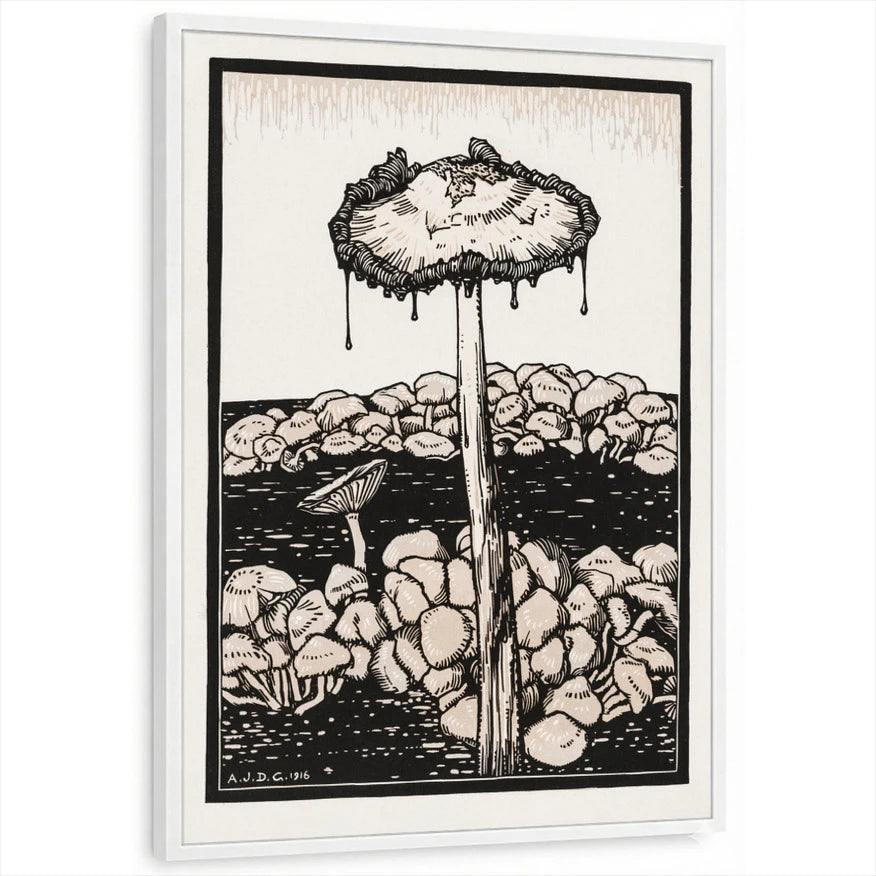 framed-print-white-standard