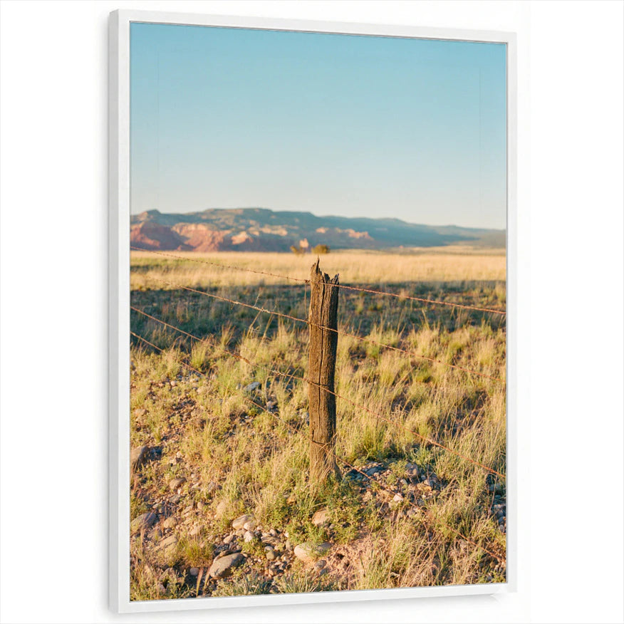 framed-print-white-standard