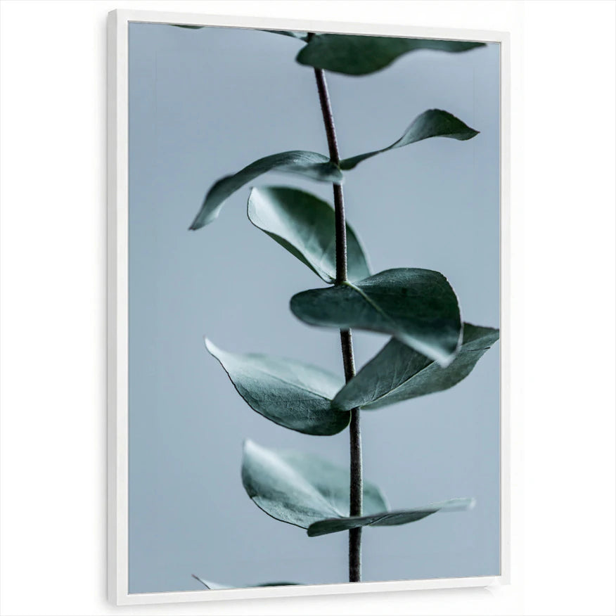 framed-print-white-standard