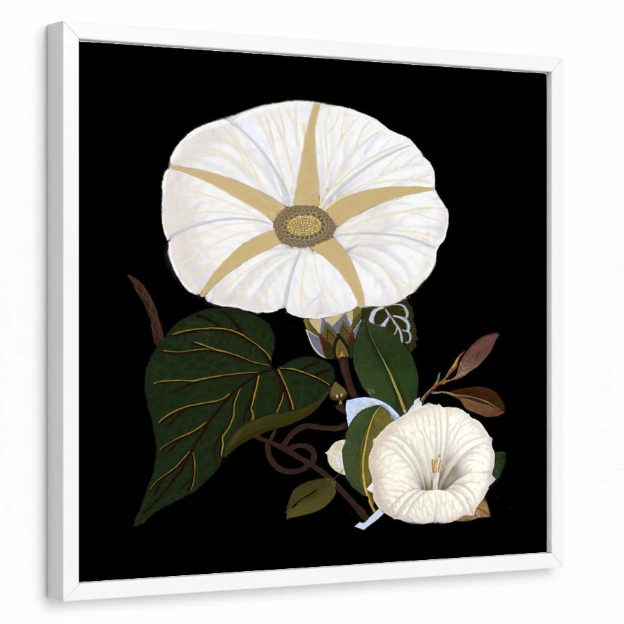 framed-print-white-standard
