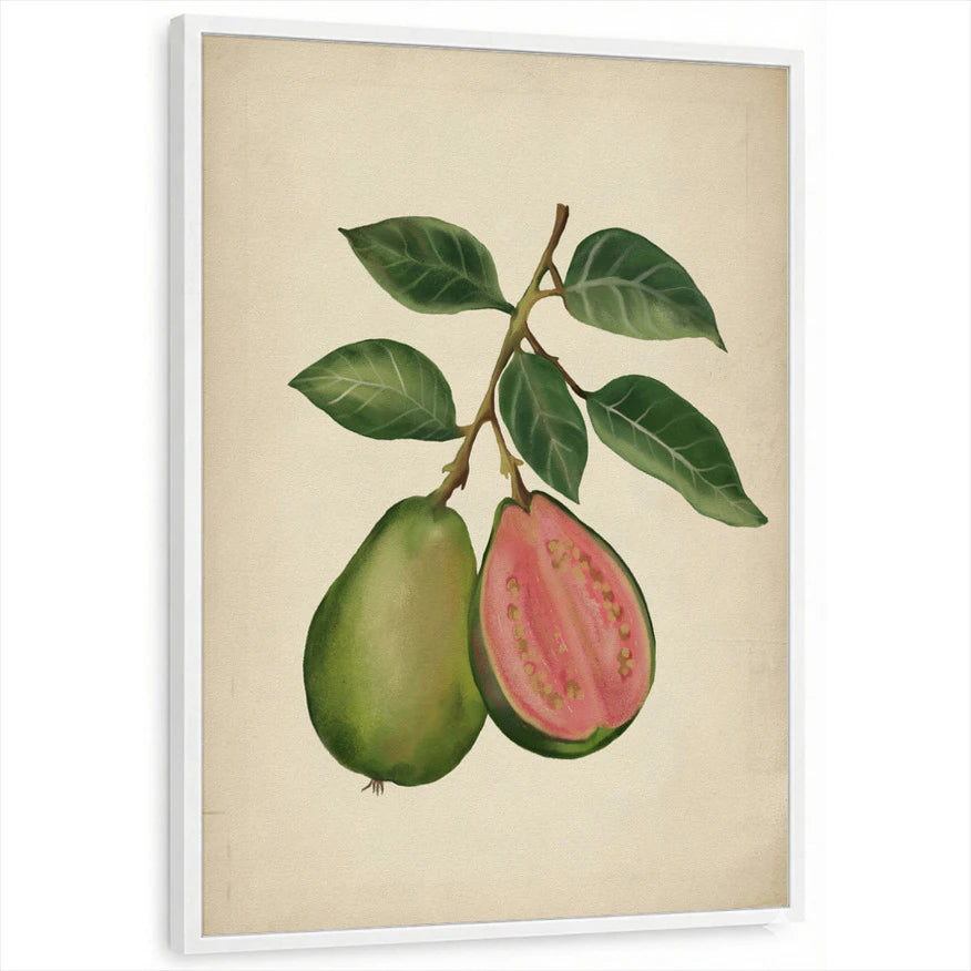 framed-print-white-standard