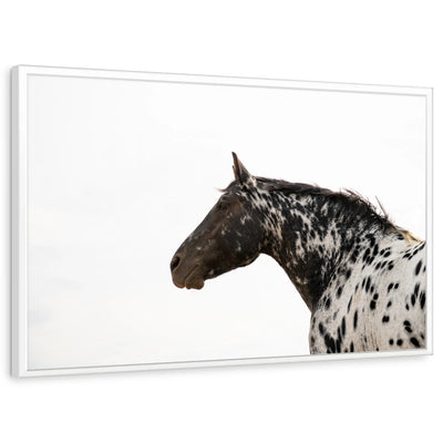 framed-print-white-standard