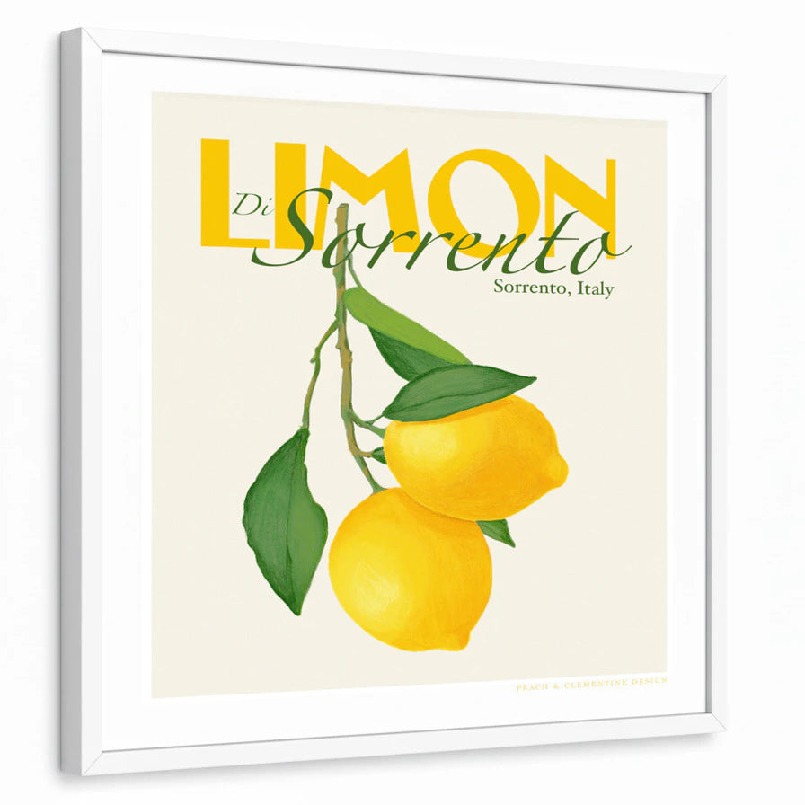 framed-print-white-standard