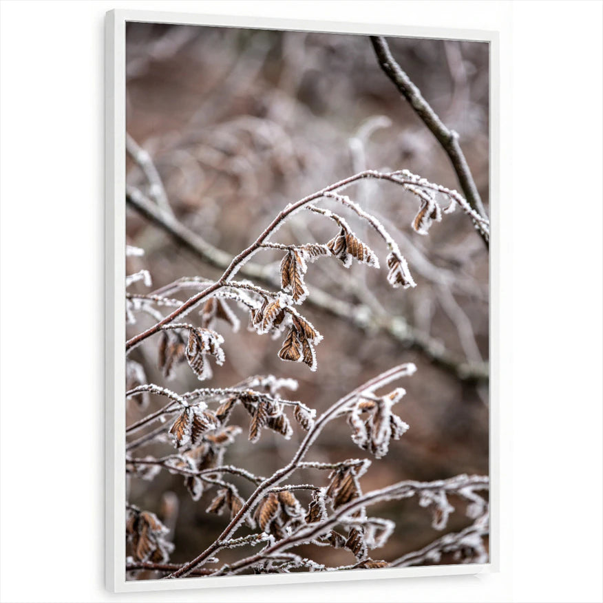 framed-print-white-standard