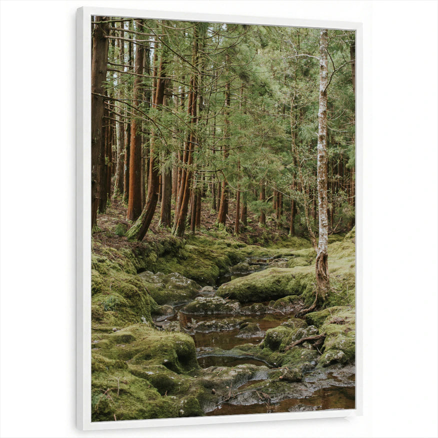 framed-print-white-standard