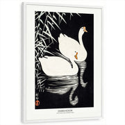 framed-print-white-standard