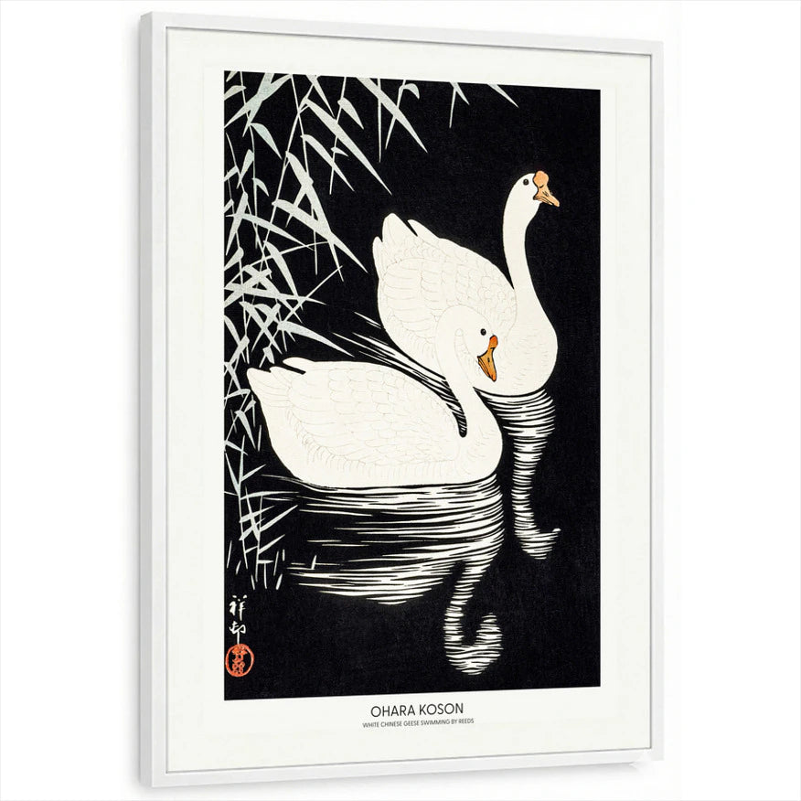 framed-print-white-standard