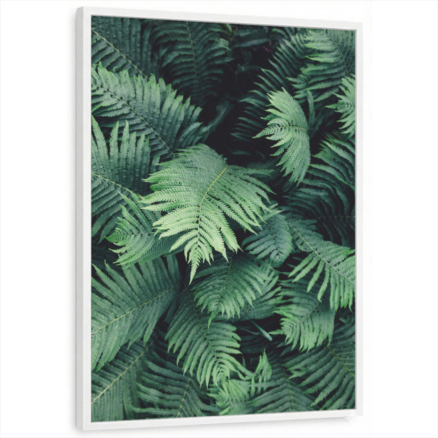 framed-print-white-standard
