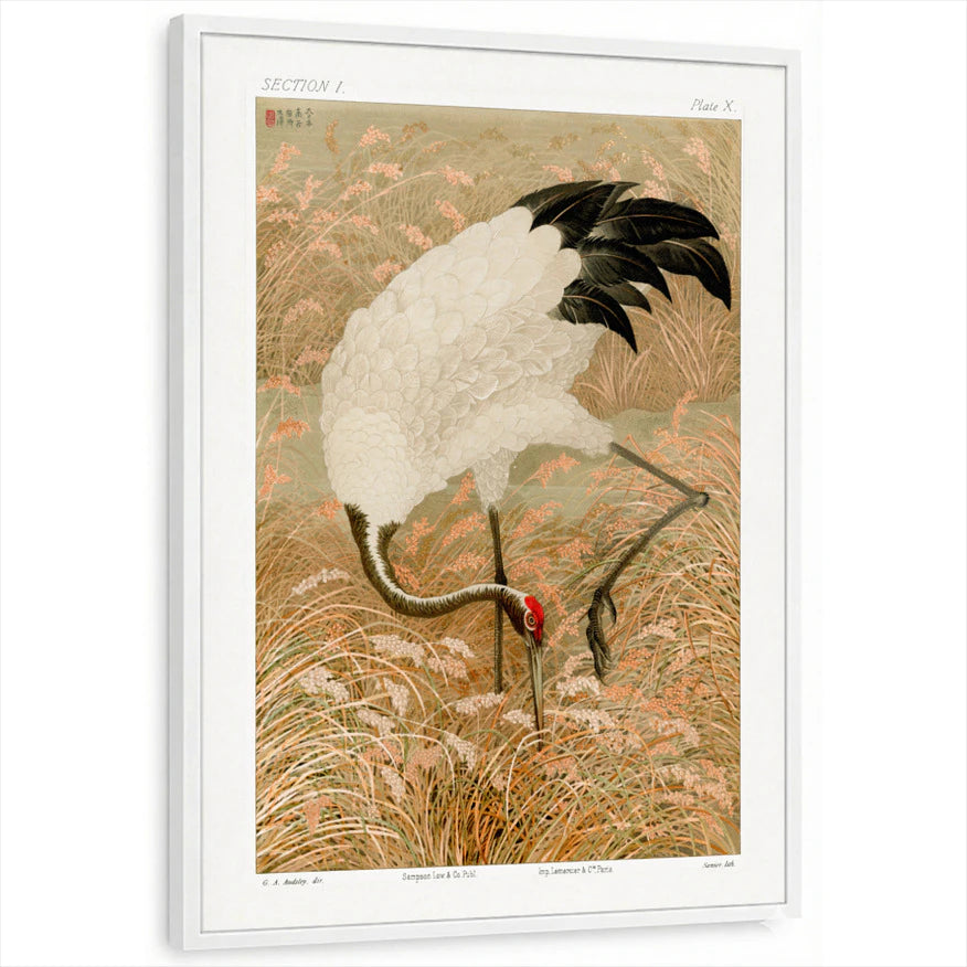 framed-print-white-standard