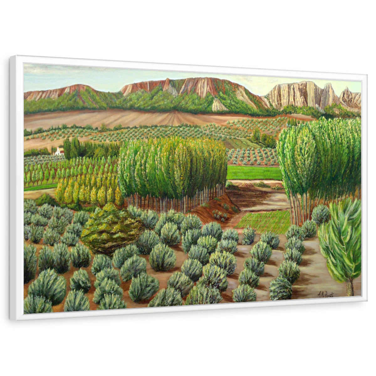 framed-print-white-standard