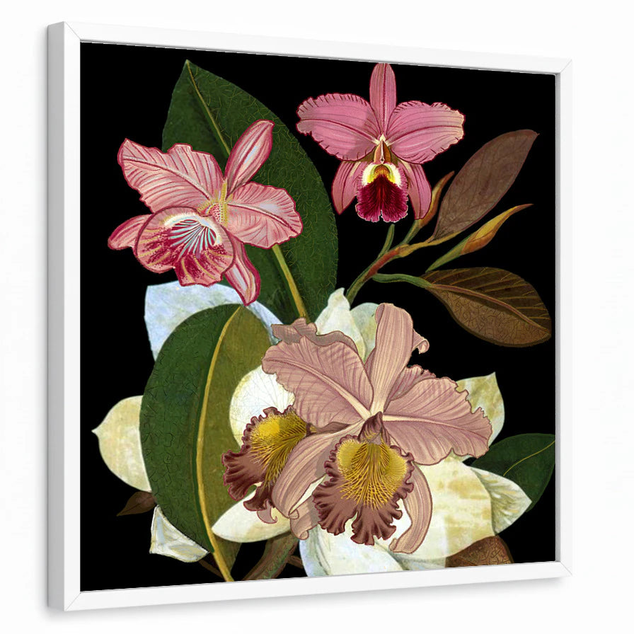 framed-print-white-standard