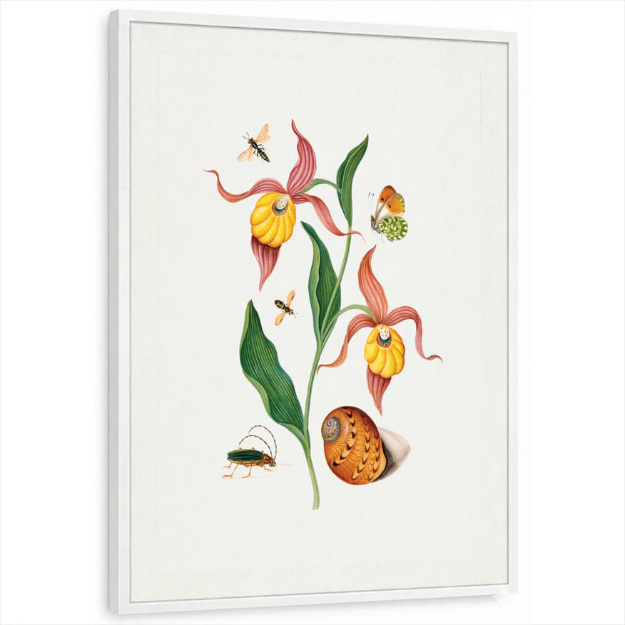 framed-print-white-standard