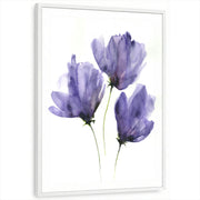 framed-print-white-standard