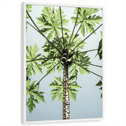 framed-print-white-standard