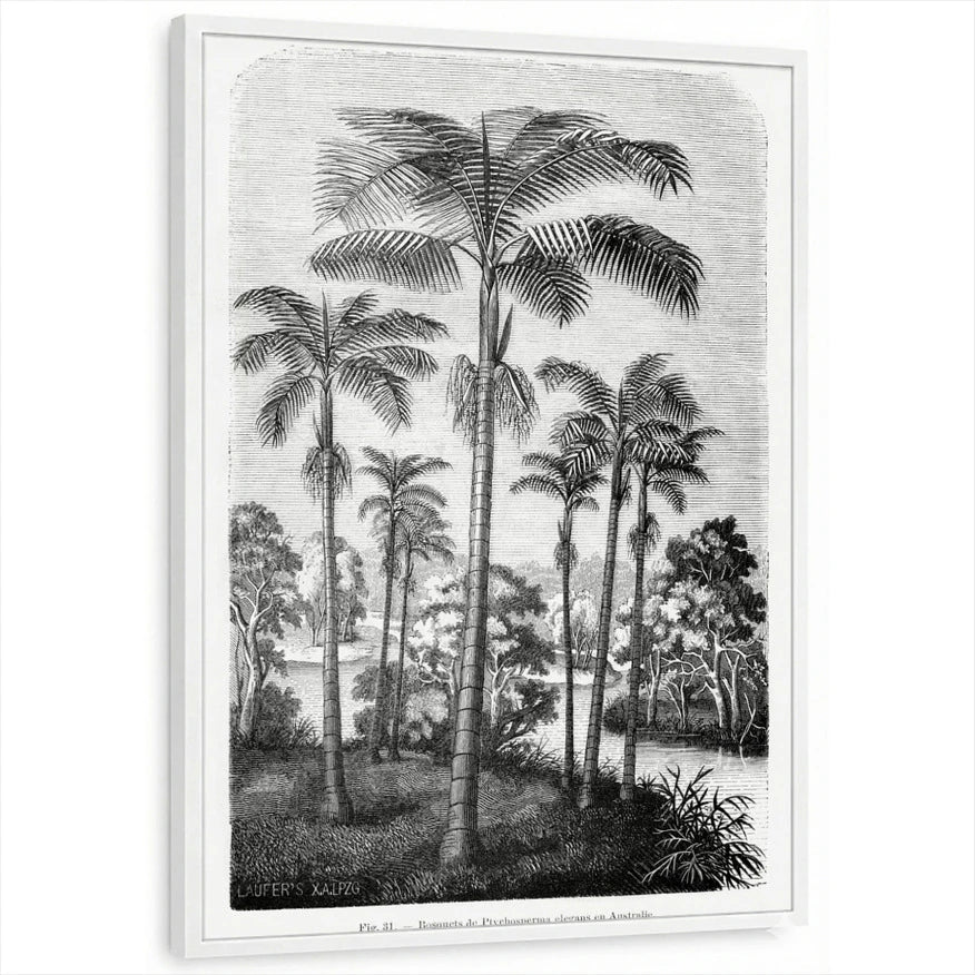 framed-print-white-standard