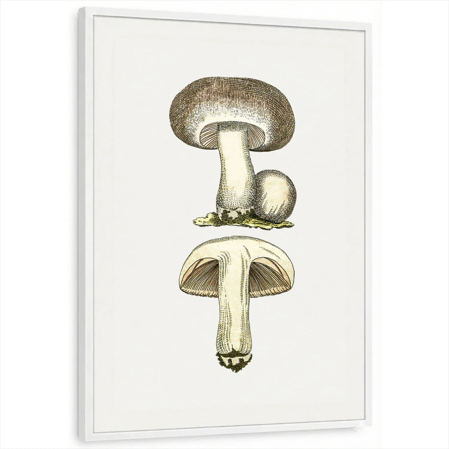 framed-print-white-standard