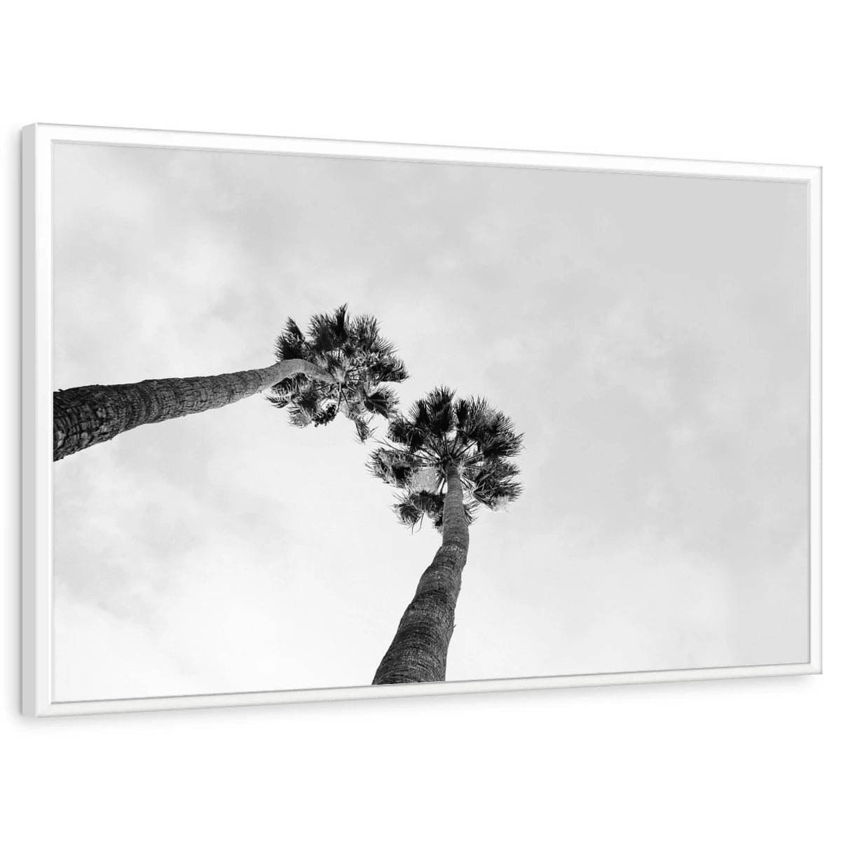 framed-print-white-standard