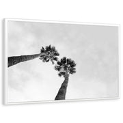 framed-print-white-standard