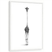 framed-print-white-standard