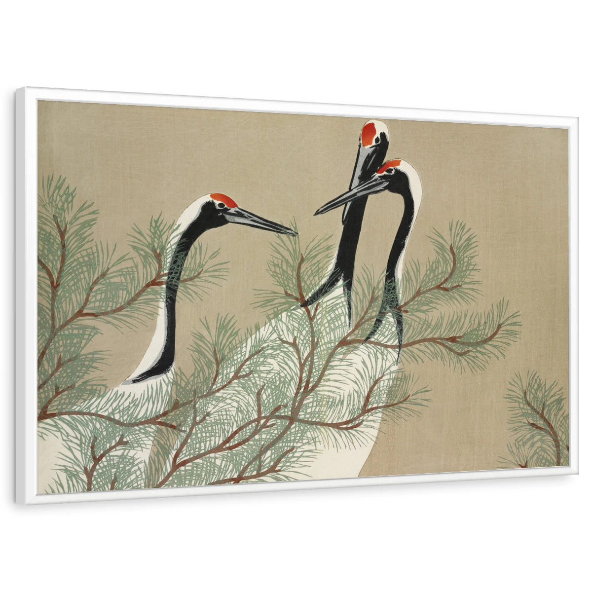 framed-print-white-standard