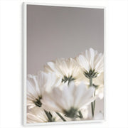framed-print-white-standard